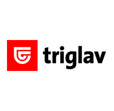 Glass Service Beograd Srbija | Triglav Osiguranje